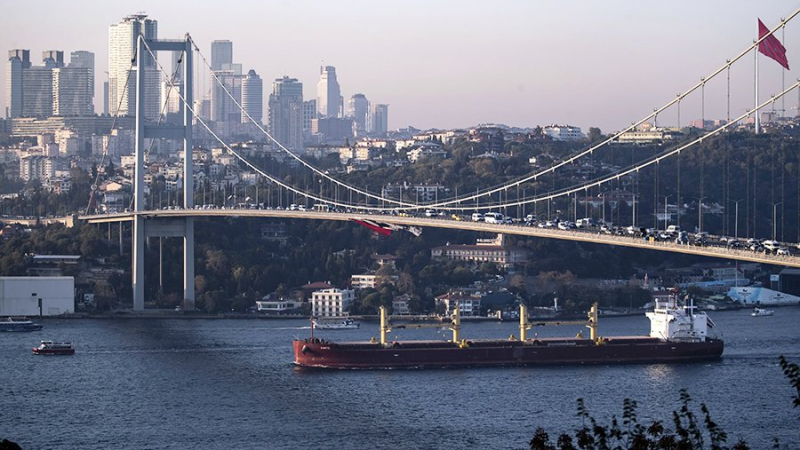 Россия и Турция подтвердили договоренности по зерновой сделке